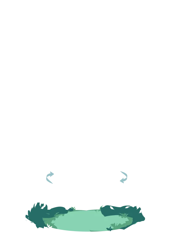 Ground